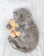 Baby sleeping kitten embracing toy bear on the bed. Top view