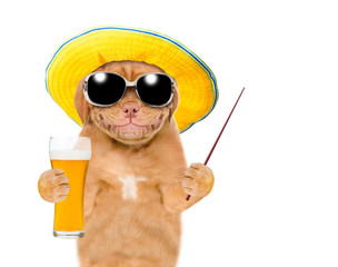 Poster - Smiling puppy in summer hat holds glass of light beer and pointing away on empty space. isolated on white background
