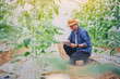 © Panumas - Farmer owner using smartpad in greenhouse checking quality and read a report for his watermelon farm. Iot smart agriculture concept..