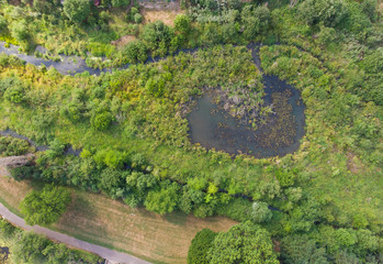 Photo of park with lake and landscape top view, texture for design