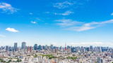 東京　パノラマ