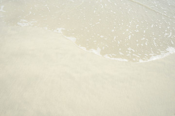 Wall Mural - Tropical beach with white coral sand and calm wave with space for text background                   