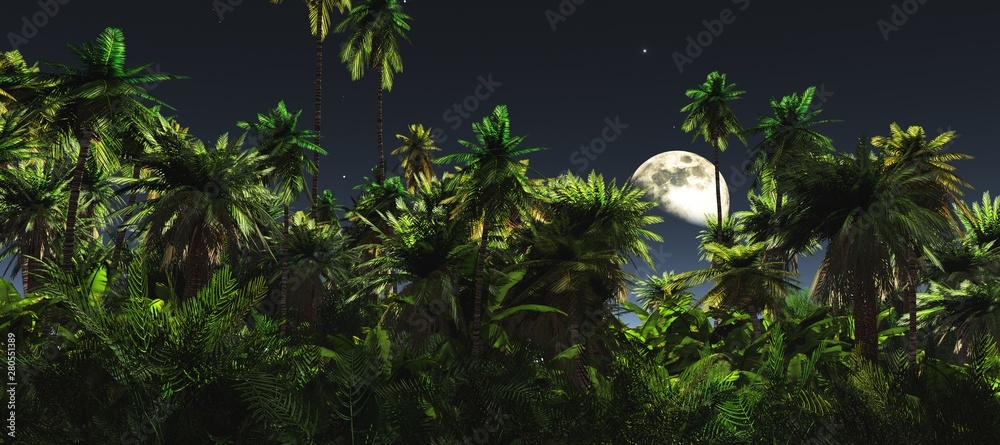 Jungle at night, the moon above the palm trees, a panorama of the jungle under the moon