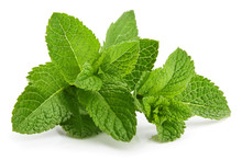 Fresh Leaf Mint Green Herbs Ingredient For Mojito Drink, Isolated On White Background.