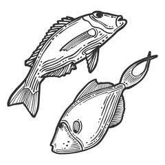 Wall Mural - Fish. Vector concept in doodle and sketch style. Hand drawn illustration for printing on T-shirts, postcards.