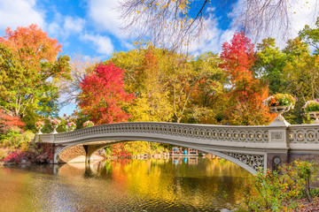 Wall Mural - New York City Central Park