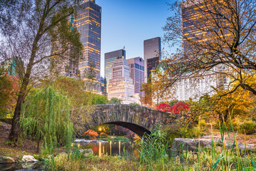 Central Park, New York City Autumn