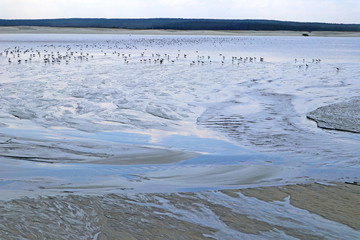 Wall Mural - Water flows over sand surface. Abstract gray natural background. Day view close-up of the textured stream with sky reflections.