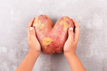 Hands hold ugly potato in the heart shape on a gray background. Funny, unnormal vegetable or food waste concept