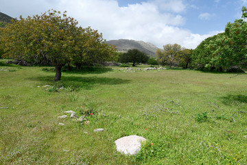 Wall Mural - Naturlandschaft auf Tilos (Griechenland) im Frühling - Tilos in spring