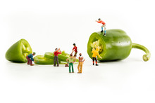 People Working With Food, Miniature People Harvesting A Pepper/Jalapeno, Construction Site