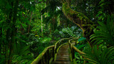 Fototapeta Las - Southeast Asian rainforest with deep jungle
