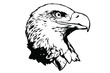 Vector bird. Eagle illustration. Good for logos and posters.