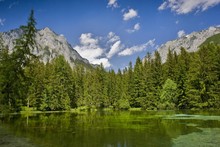 Pfarrerteich, Pond, Tragoess, Styria, Austria, Europe