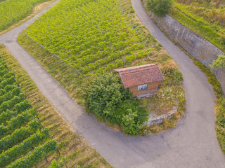 Wall Mural - Aerial view of cottage in vineyard
