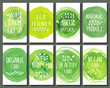 Set of eco friendly labels cards. Packaging tags for vegetarian healthy products.