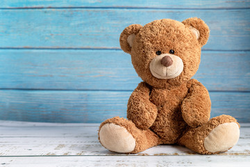 cute teddy bear