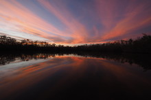 Colorful Sunset On Coot Bay Pond In Everglades National Park, Florida On A Calm Winter Evening.