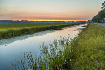 Canvas Print - Netherlands polder landscape