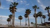 Fototapeta Sypialnia - palm trees on the beach