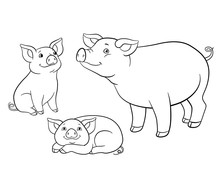 Coloring Pages. Mother Pig With Her Two Little Cute Piglets.