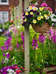 Wall Mural - flowers in the garden