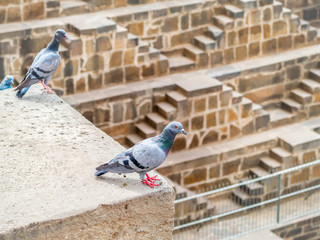 Wall Mural - Chand Baori Stepwell, Jaipur, Rajasthan, India