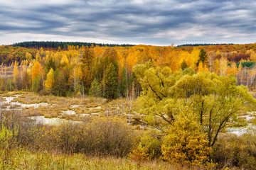 Wall Mural - Picturesque autumn landscape. View from the hill to the lowland with forest and swamps. Beautiful natural background