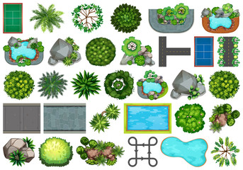 Wall Mural - Collection of outdoor nature themed objects and plant elements