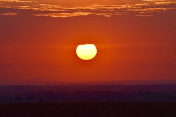 Wall Mural - Serengeti sunset 2