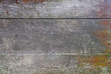 Wall Mural - Wood planks texture