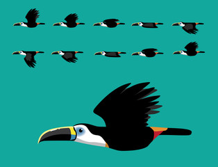 Toucan Flying Animation Cute Cartoon Vector Illustration