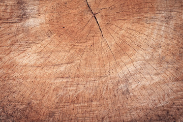 Poster - Wood stumps texture with pattern background. Detail of cutting wooden structure for interior design or construction. Textured of retro desk or table furniture.
