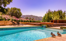 Two Mallard Ducks Stand On The Edge Of A California Home Swimming Pool.