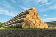 Pyramid of hay barrels stacked in a field near animal farm