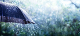 Fototapeta  - Rain On Umbrella - Weather Concept