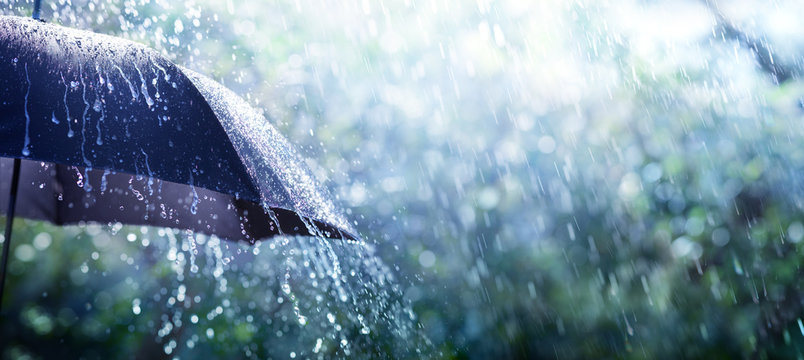 rain on umbrella - weather concept