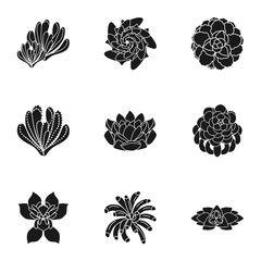 Poster - Succulent plant icon set. Simple set of 9 succulent plant vector icons for web design isolated on white background