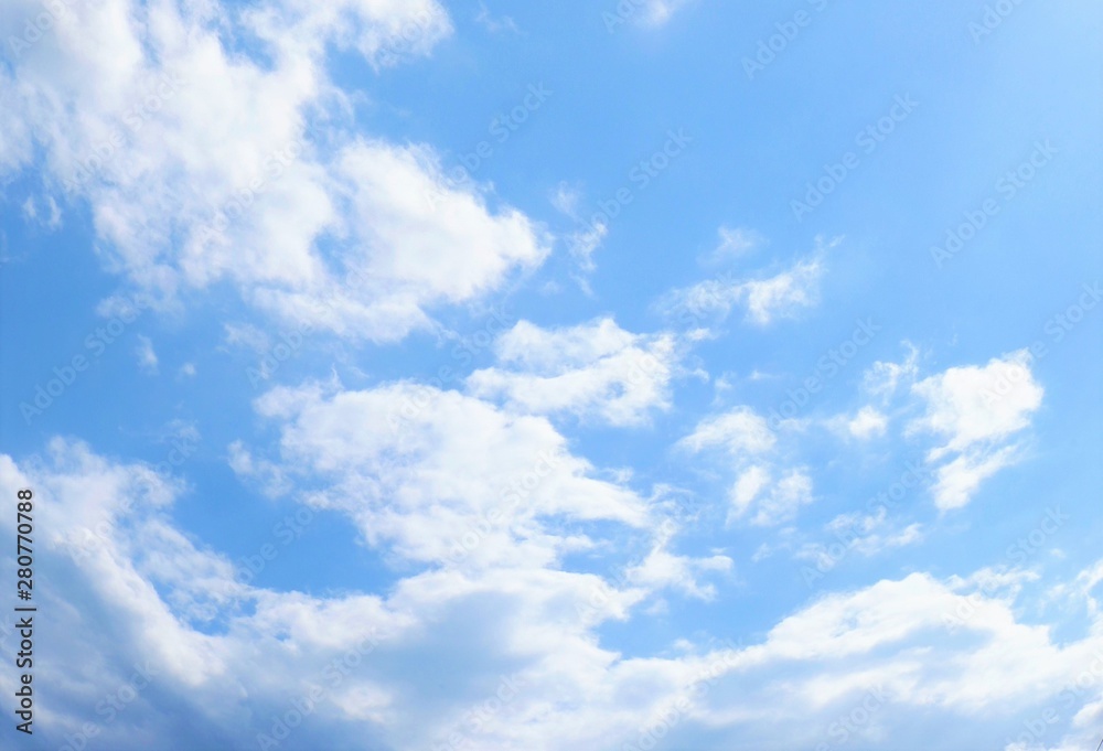 美麗! 高精細 プリント 写真 「青空へ・・・。」 高画質な青空の写真