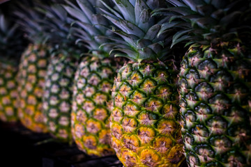  Row of MG3 variety pineapple fruit. Selective focus. Copy space.