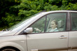 © volody10 - Pretty, young woman driving a car -Invitation to travel. Car rental or vacation