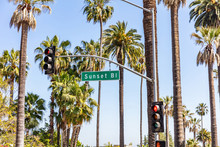 Sunset Bl. LA, California, USA. Green Sign, Red Traffic Lights And Palm Trees