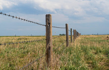 Barbed Wire Fence With Blue Cloudy Skies Bordering Farm Property In The Prairies Wild Grass Of Alberta  