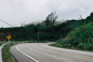 Road and travel in the rain Green forest