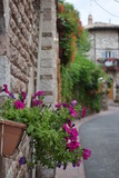 Fototapeta Do pokoju - Stradina italiana ad Assisi, Umbria, con balcone fiorito in primo piano