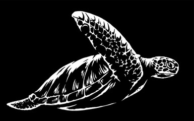 black and white linear paint draw turtle illustration art