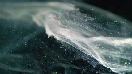 Wall Mural - Abstract stardust smokey wave particles. Nano dynamic flow with particles.