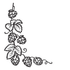 Wall Mural - Branch of hops. Hop cones with leaf icon. Corner frame. Hand drawn vector illustration on white background.