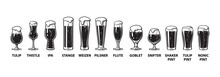 Beer Glassware Guide. Various Types Of Beer Glasses. Hand Drawn Vector Illustration On White Background.