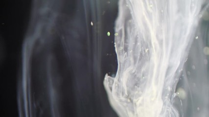 Canvas Print - Slow motion of Liquid ink on black background. 